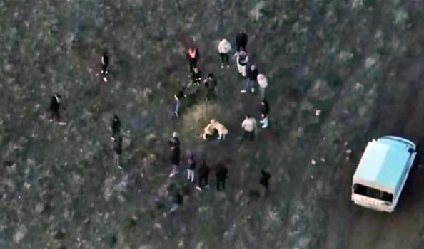Jandarma köpek dövüşünü dronla tespit etti; 14 gözaltı