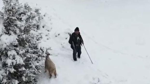 Nallıhan’da çoban, gördüğü drona tüfek doğrulttu; o anlar kamerada