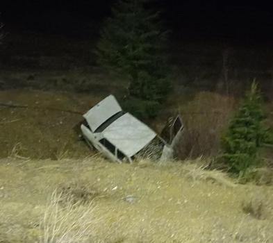 Domuza çarpan otomobil, şarampole yuvarlandı; 1 ölü