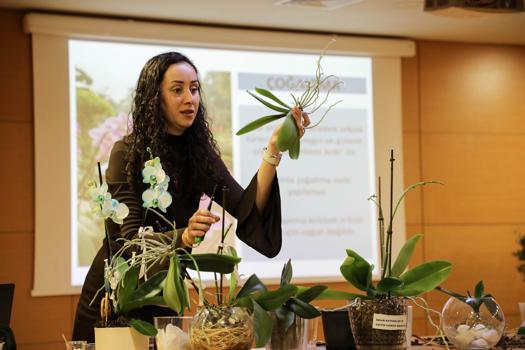 Büyükşehir Belediyesi'nden orkide bakımı eğitimi