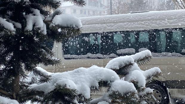 Doğu buz kesti: Kemaliye'deki taş yolda buz sarkıtları oluştu / Ek fotoğraflar