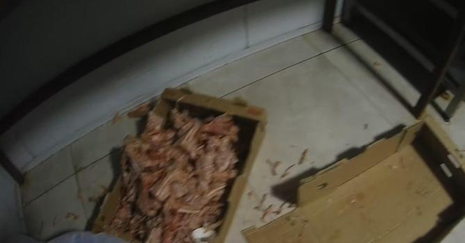 Kocaeli'de ruhsatsız tavuk eti parçalama tesisi mühürlendi