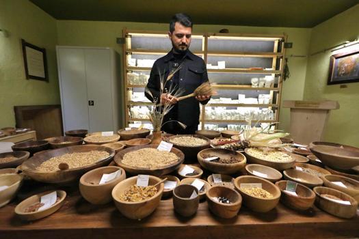 Üniversitenin girişimiyle çiftçilere dağıtılan 'Iza buğdayı'nın ekimi başladı