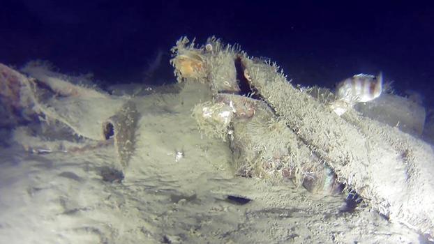 THY'nin 50 yıl önce düşen uçağının enkazından yeni parçalar bulundu