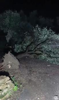 Antalya'da peş peşe hortumlar; seralar yıkıldı, çatılar uçtu/Ek fotoğraflar