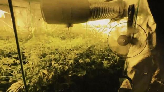 23 ilde uyuşturucu operasyonu: 177 tutuklama