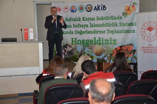 Mut'ta tarladan sofraya kayısı konuşuldu