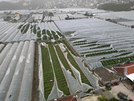 Yağmur ve hortum, sebze-meyveyi vurdu