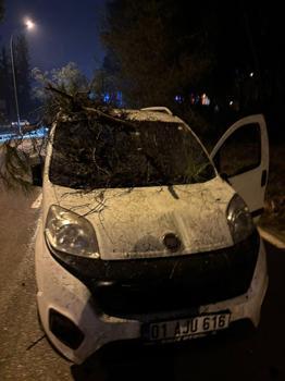 Adana'da devrilen ağacın dalları, seyir halindeki aracın ön camına saplandı
