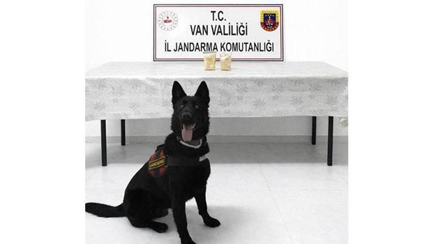 Van'da İran uyruklu yolcu, 510 gram eroin ile yakalandı