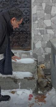 Yaralı tilkiye Başkan Demir sahip çıktı