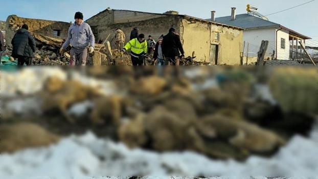 Üzerinde kar biriken ağıl çöktü, 40 koyun öldü