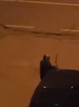 Alkollü olduğu iddia edilen kadın, araçların sileceklerini kırdı