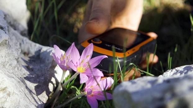 GPS verileri incelendi; orkidelerde kaçak söküm alarmı