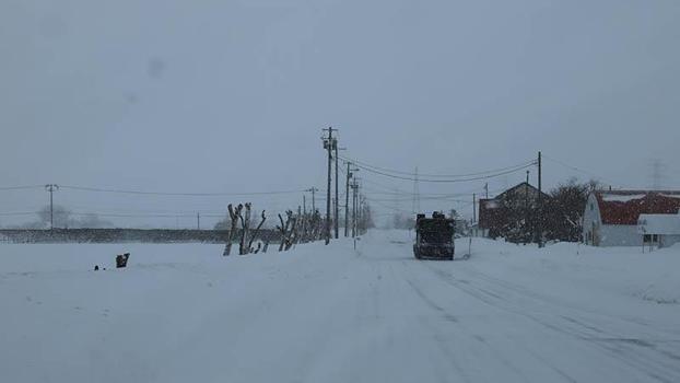 Japonya'da yoğun kar yağışı nedeniyle hayatını kaybedenlerin sayısı 30'a yükseldi