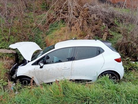 Köpeğe çarpmamak isterken şarampole uçtu: 2 yaralı