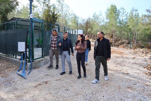 Toroslar’ın doğal yaşam alanı hayvanseverlerin beğenisini kazandı