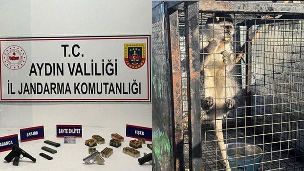 Kuşadası’nda ruhsatsız silah ve maymun ele geçirildi