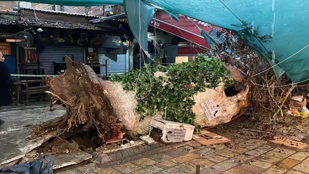 İzmir Çeşme'de sağanak; yollar göle döndü (4)