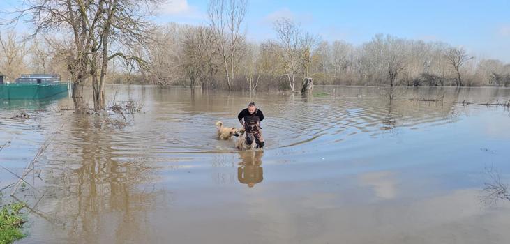 Meriç Nehri'nde su seviyesi arttı; DSİ 'turuncu alarm' uyarısında bulundu (2)
