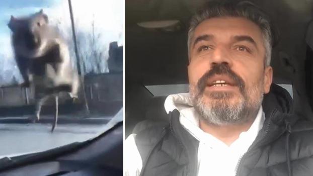 Başakşehir'de yolda ilerleyen araca fare atladı; sürücü polis çevirmesine girince kaçtı