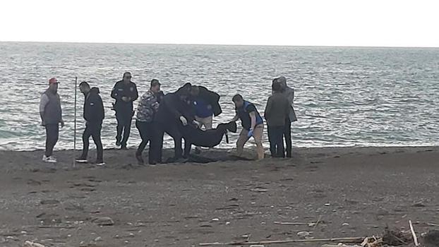 Muğla’da sahilde erkek cesedi bulundu