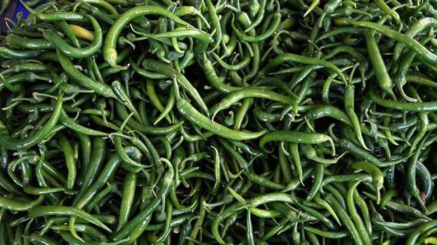 Batı Akdeniz'de ocak ayında yaş meyve sebzede ihracat şampiyonu, 'biber'