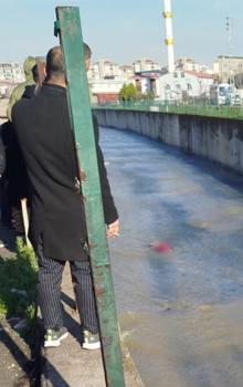 Samsun’da derede erkek cesedi bulundu