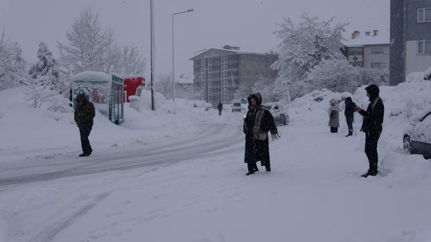 Bitlis ve Van'da 205 yerleşim yerinin yolu kardan kapandı