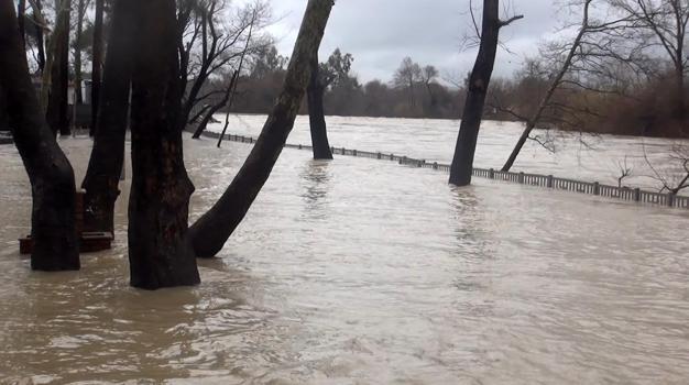 Antalya'yı sağanak vurdu; 7 ilçede okullar tatil edildi (6)