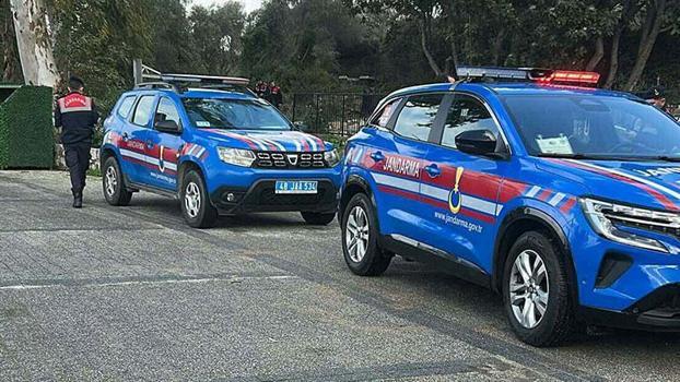 Bodrum’da 2 köpeğin öldürülmesi olayında savcılık itirazı sonrası tutuklama talebi