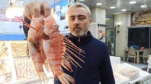 Tezgahta satışı yasak olan aslan balığının özel müşterisi var