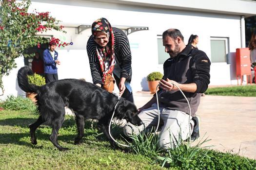 Can dostlar yeni yuvalara sahiplendiriliyor