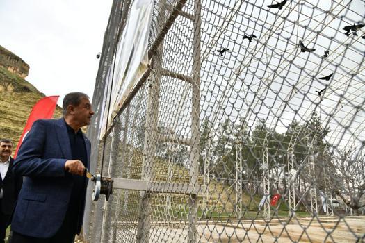 Bereket sembolü kafesteki 277 kelaynak doğaya salındı