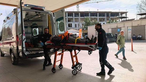 Budadığı ceviz ağacından düşüp yaralandı