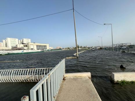 İzmir’de kuvvetli rüzgarda park halindeki otomobilin üzerine ağaç devrildi (2)