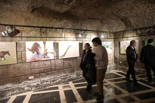 Kuş Cenneti'nden kareler