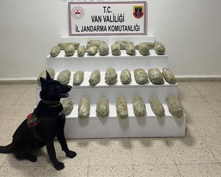 Van kırsalında 21 kilo 350 gram skunk ele geçirildi