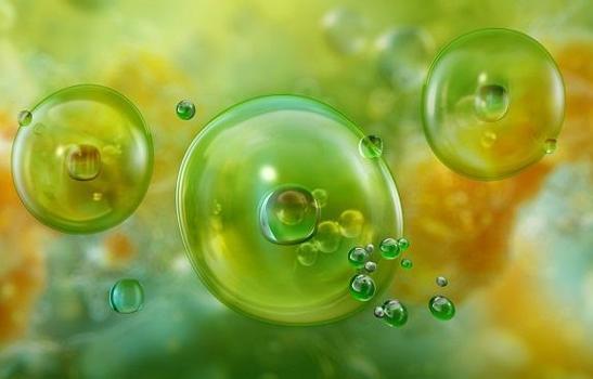 Deniz ürünlerinde zehirlenme riski: 'Bilinçli tüketim şart'