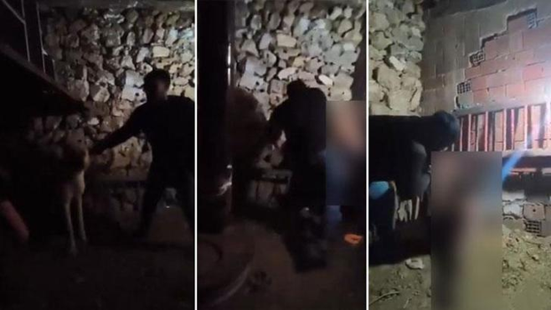 Çocuğa ahırda şiddet uygulayan şüpheli, yeniden gözaltında