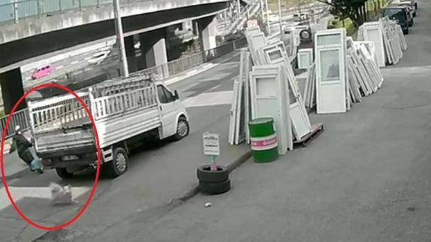 Köpekten kaçarken otobüsün çarptığı üniversiteli ağır yaralandı, kaza kamerada