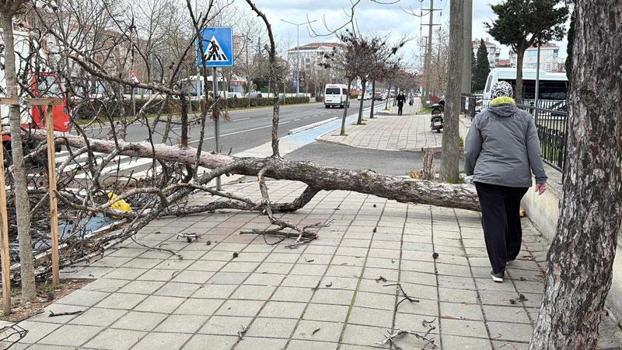 Edirne ve Kırklareli için 'fırtına' uyarısı