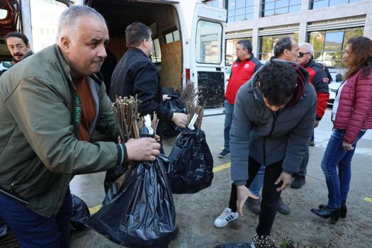 Üreticiye üzümsü meyve fidanı desteği