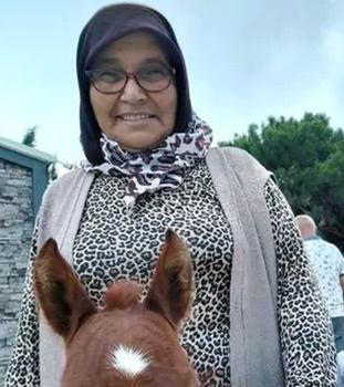 Teravihe giderken kamyonet çarptı, hayatını kaybetti