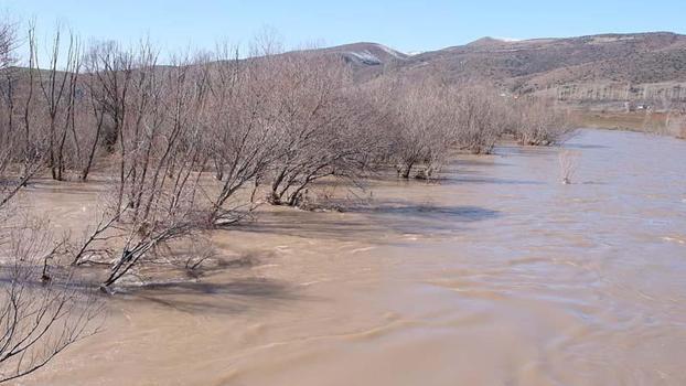 Kızılırmak taştı; köy yolu ulaşıma kapandı
