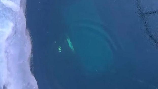 Rusya'da Baykal Gölü'nde tur aracı buzun altına düştü: 8 ölü