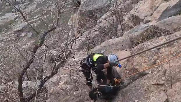 Siirt’te kayalıklarda mahsur kalan 2 keçi kurtarıldı