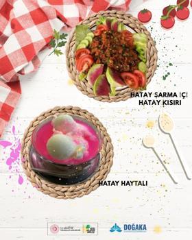 Hatay sarma içi ve haytalı, coğrafi işaret tescili aldı