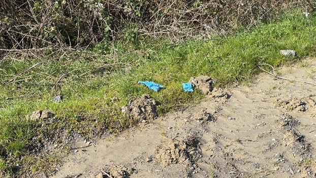 Çinli iş insanının cesedi elleri ve ayakları bağlı toprağa gömülü bulundu