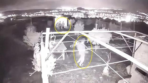 Osmaniye’de güvercin hırsızlığı kamerada